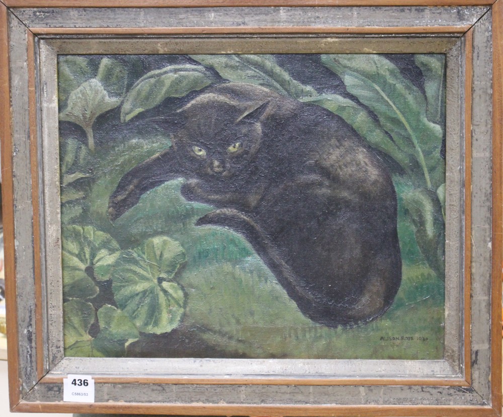 Alison Rose, oil on canvas, Study of a black cat, signed and dated 1930, 40 x 50cm